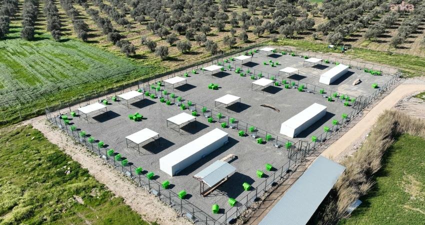 Edremit Belediyesi, sokak hayvanlarının yaşam kalitesini artırmak amacıyla hayata geçirdiği