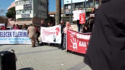 Balıkesir'in Edremit ilçesinde hayvanseverler, bir çöplükte 40'a yakın ölü sokak