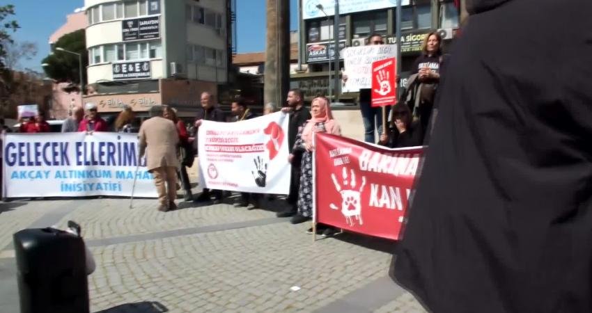 Balıkesir'in Edremit ilçesinde hayvanseverler, bir çöplükte 40'a yakın ölü sokak