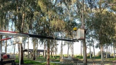 Efeler Belediyesi, ilçe genelindeki yeşil alanlarda yürüttüğü bakım ve onarım