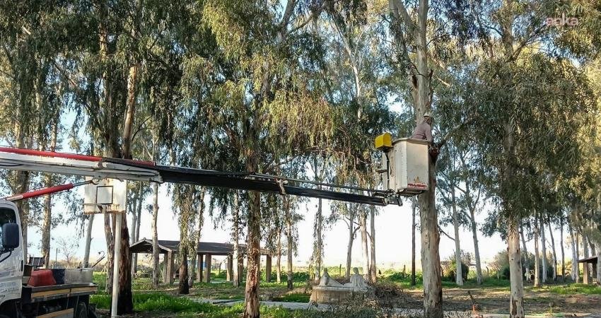 Efeler Belediyesi, ilçe genelindeki yeşil alanlarda yürüttüğü bakım ve onarım