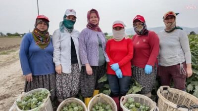 Efeler Belediyesi'nin hayata geçirdiği projelerle ilçede yaşayan kadınların üretimde, eğitimde