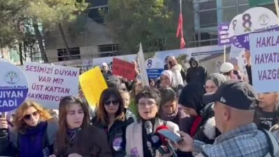 Elazığ Kadın Platformu tarafından 8 Mart Dünya Kadınlar Günü dolayısıyla