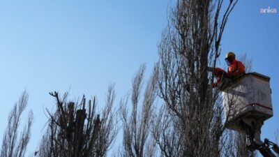 Eskişehir Büyükşehir Belediyesi, kent estetiğini ve doğal yaşam dengesini korumaya