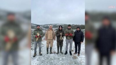 Eskişehir Büyükşehir Belediyesi Hayvanat Bahçesi’nde tedavi altına alınan 3 şahin