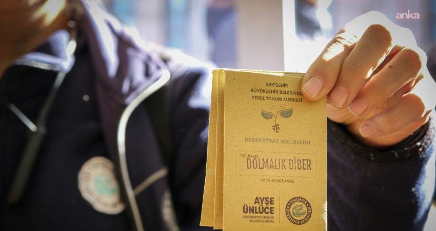 Eskişehir’de üretilen yerel tohumlar, Türkiye genelindeki üreticilerle buluşuyor Eskişehir Büyükşehir Belediyesi (EBB), kentte üretilen ve çoğaltılan yerel tohumları,