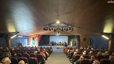 Rize'nin Fındıklı ilçesinde çay hasadı, taban fiyat ve işçilik yevmiyesi gibi