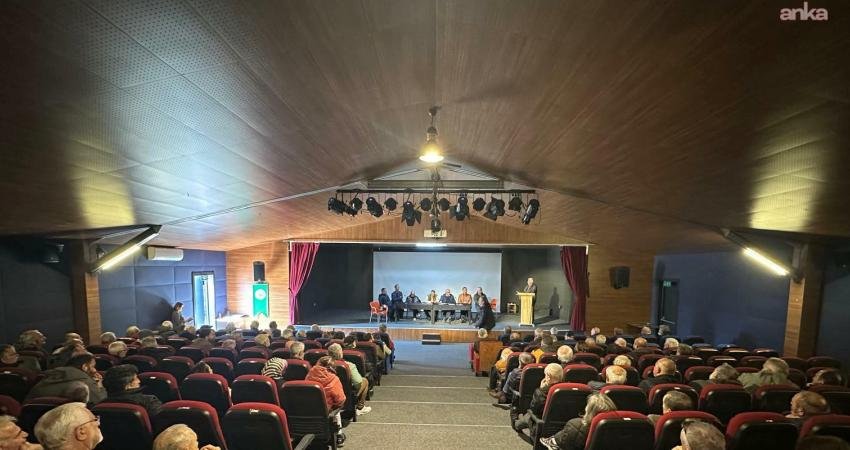 Rize'nin Fındıklı ilçesinde çay hasadı, taban fiyat ve işçilik yevmiyesi gibi