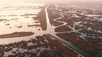 İzmir Büyükşehir Belediyesi, Gediz Nehri’ndeki kirliliği bilimsel verilerle ortaya koyuyor.
