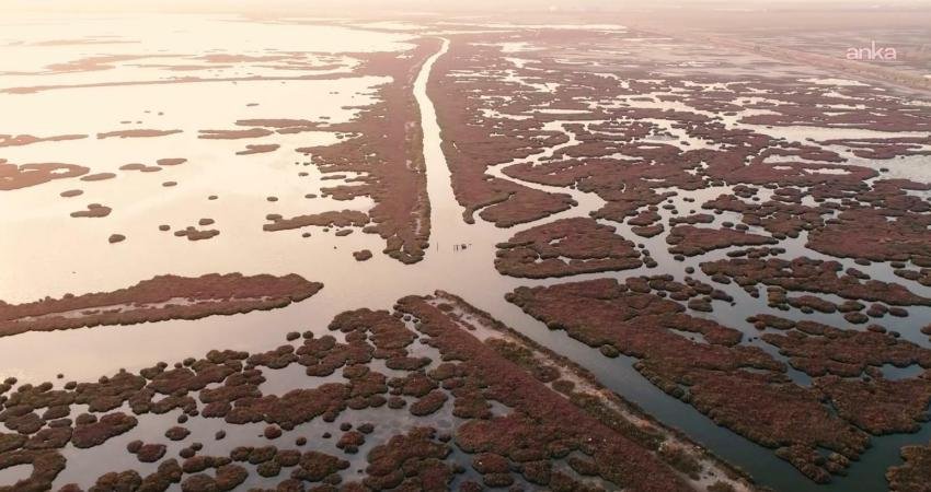 Gediz Nehri mercek altında… İzmir Körfezi ve tarım toprakları kirlilik kıskacında İzmir Büyükşehir Belediyesi, Gediz Nehri’ndeki kirliliği bilimsel verilerle ortaya koyuyor.