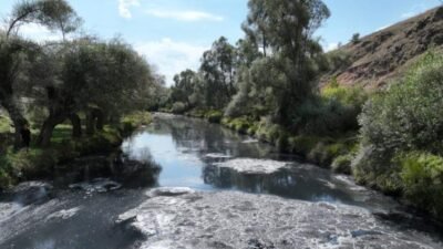 Gerede Çayı Temiz Aksın Platformu, Gerede Deri OSB’nin arıtılmayan sularının Gerede Çayı’na