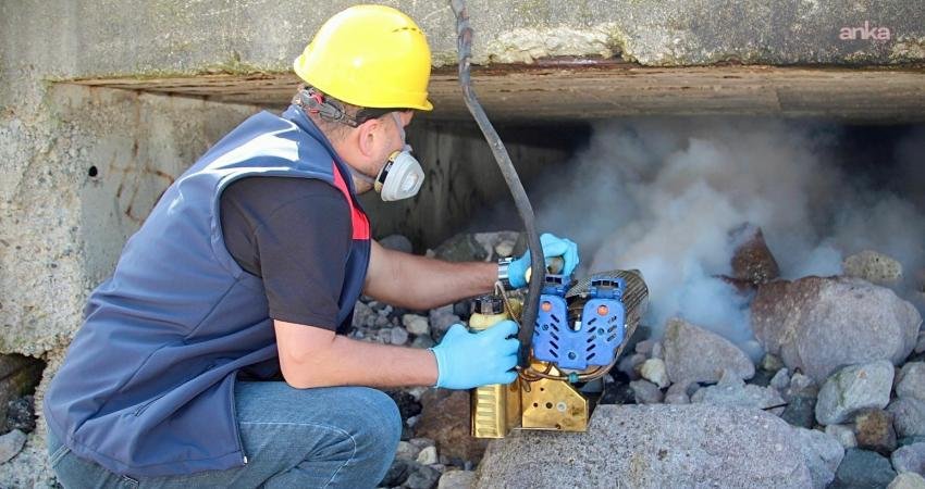 Giresun Belediyesi, ilaçlama çalışmalarına başladı Giresun Belediyesi Veteriner İşleri Müdürlüğü, ilkbaharın gelmesiyle kent genelinde dumanlama