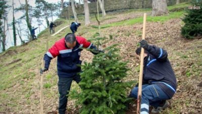 Giresun Belediyesi Park ve Bahçeler Müdürlüğü ekipleri, kent genelindeki boş