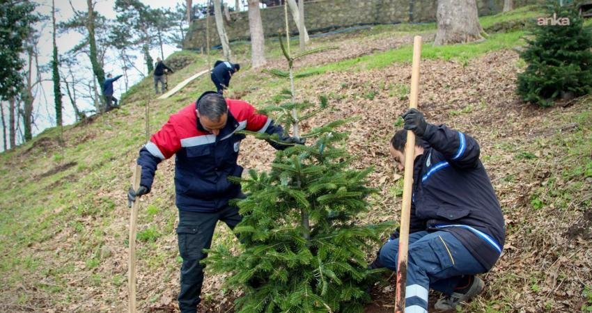 Giresun Belediyesi, kent genelinde yeşillendirme çalışmalarını sürdürüyor Giresun Belediyesi Park ve Bahçeler Müdürlüğü ekipleri, kent genelindeki boş