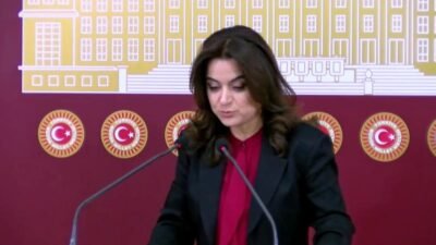 DEM Parti Grup Başkanvekili Gülistan Kılıç Koçyiğit, "Barışın hukukunu oluşturmak, parlamentonun,