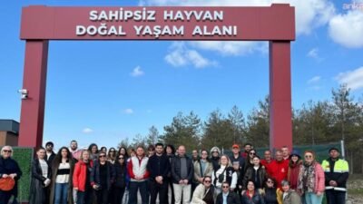 Edirne Belediyesi tarafından Süloğlu ilçesinde oluşturulan Sahipsiz Hayvan Doğal Yaşam