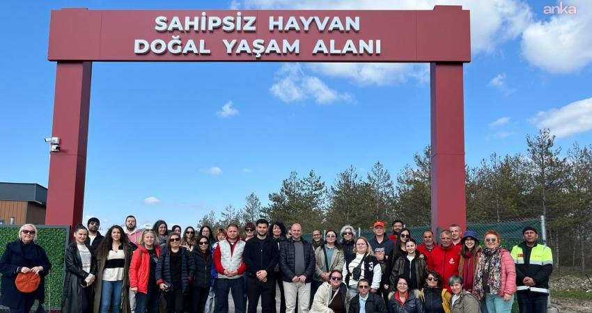 Hayvanseverlerden Edirne Belediyesi’nin Doğal Yaşam Alanı’na ziyaret Edirne Belediyesi tarafından Süloğlu ilçesinde oluşturulan Sahipsiz Hayvan Doğal Yaşam