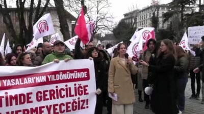 Türkiye Halk Temsilcileri Meclisi (THTM), "3 Mart Devrim Yasaları"nın yıl