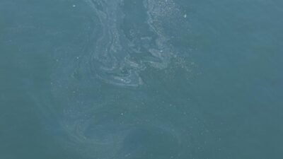 İZDENİZ Genel Müdürlüğü tarafından İzmir Körfezi’nde sabah saatlerinde yapılan drone