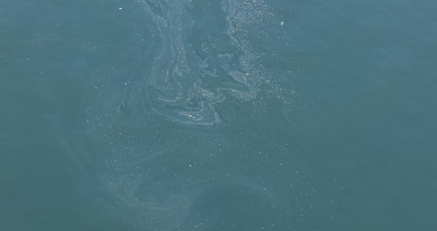 İZDENİZ Genel Müdürlüğü tarafından İzmir Körfezi’nde sabah saatlerinde yapılan drone