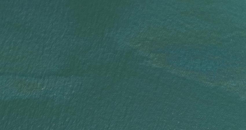 İzmir Büyükşehir Belediyesi tarafından İzmir Körfezi’nde bugün yapılan rutin dron