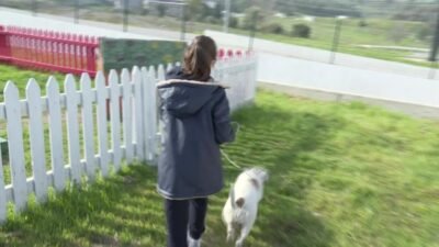 İzmir Büyükşehir Belediyesi, bakımevlerinde bulunan sahipsiz hayvanların sıcak bir yuvaya