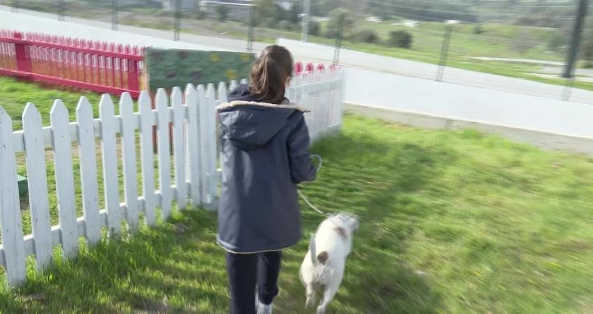 İzmir Büyükşehir Belediyesi, bakımevlerinde bulunan sahipsiz hayvanların sıcak bir yuvaya