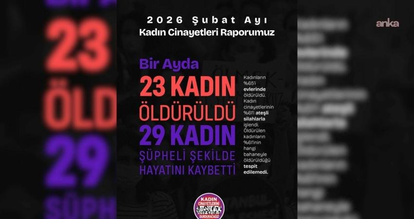 Kadın Cinayetlerini Durduracağız Platformu, şubat ayı Kadın Cinayetleri Raporu'nu açıkladı.