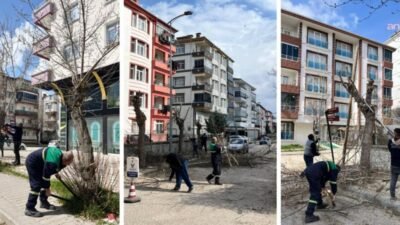 Kahramankazan Belediyesi Park ve Bahçeler Müdürlüğü ekipleri, ilçe genelinde yürüttüğü
