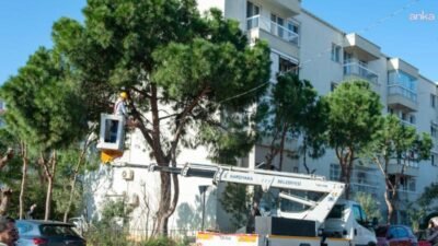 Karşıyaka Belediyesi, ilçe genelindeki ağaç varlığının sağlıklı gelişimini desteklemek amacıyla