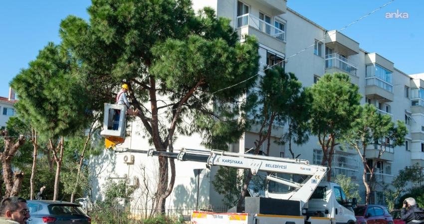 Karşıyaka Belediyesi, ilçe genelindeki ağaç varlığının sağlıklı gelişimini desteklemek amacıyla