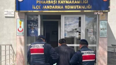 Kayseri Valisi Gökmen Çiçek, Pınarbaşı ilçesinde köpeği ağaca asarak öldüren