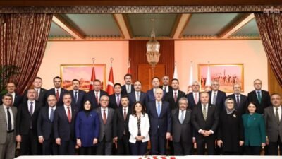 TBMM Başkanı Numan Kurtulmuş, Milli Dayanışma, Kardeşlik ve Demokrasi Komisyonu