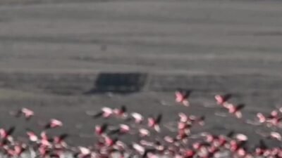 Doğa Koruma ve Milli Parklar (DKMP) teknik ekibi ile birlikte