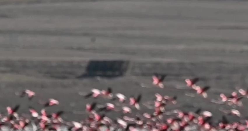 Doğa Koruma ve Milli Parklar (DKMP) teknik ekibi ile birlikte