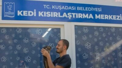Kuşadası Belediyesi Veteriner İşleri Müdürü Erdinç Toy, kontrolsüz üremenin önüne