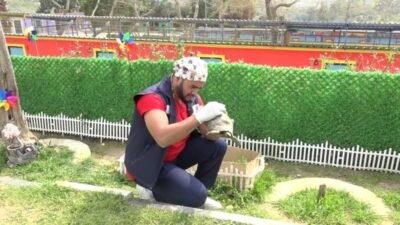 Kuşadası’nda yaralı halde bulunduktan sonra tedavileri tamamlanan ikisi yetişkin, biri