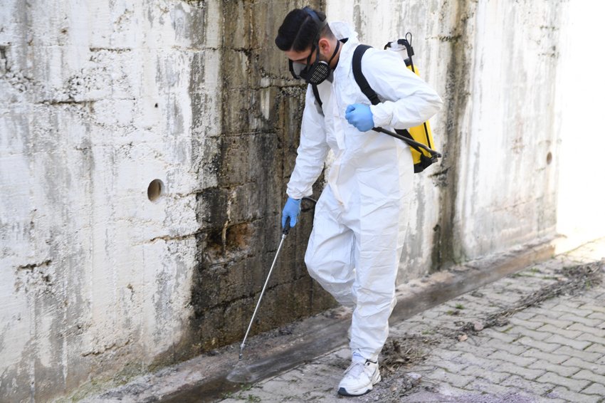 Mamak’ta ilaçlama çalışmaları aralıksız sürüyor Mamak Belediyesi, vatandaşlardan gelen talepleri öncelikli olarak değerlendirip saha tespitleriyle