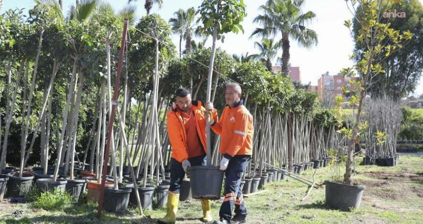 Mersin Büyükşehir Belediyesi, “Ağaçlandırma Kampanyası” başlattı Mersin Büyükşehir Belediyesi Park ve Bahçeler Dairesi Başkanlığı, Peyzaj Master