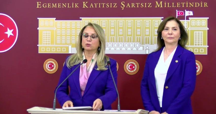 MHP Grup Başkanvekili Filiz Kılıç ile MHP Adana Milletvekili Ayşe