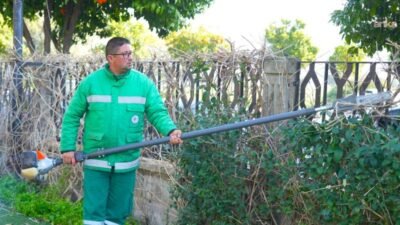 Milas Belediyesi Park ve Bahçeler Müdürlüğü ekipleri, ilçe genelindeki yeşil