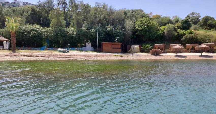 Ulaştırma ve Altyapı Bakanlığı tarafından Milas Boğaziçi’nde planlanan balıkçı barınağı