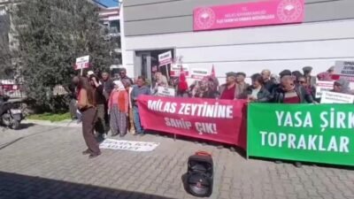 Muğla’nın Milas ilçesinde İkizköylüler, YK Enerji ekipleri tarafından zeytin ağaçlarını