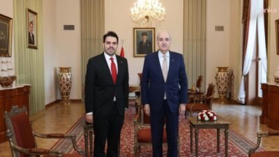 Türkiye Büyük Millet Meclisi Başkanı Numan Kurtulmuş, Türk İşbirliği ve