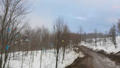 - Ordu’nun Çaybaşı ilçesine bağlı İlküvez’de bulunan katı atık çöp