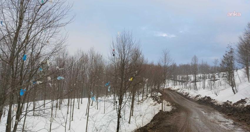 Ordu Büyükşehir Belediyesi Katı Atık Tesisi’ne tepki büyüyor - Ordu’nun Çaybaşı ilçesine bağlı İlküvez’de bulunan katı atık çöp