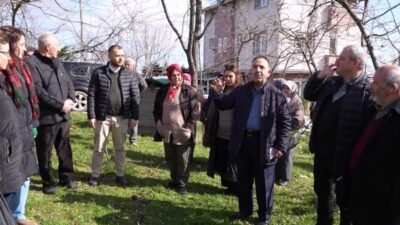 Ortahisar Belediyesi, fındık üretiminde verim artışı, kaliteli ürün elde edilmesi