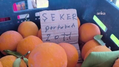 Osmaniye’de narenciye üreticileri, portakalın kilosunu 6 liraya bile satamadıklarını ve