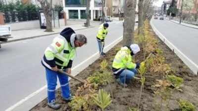 Silivri Belediyesi Park ve Bahçeler Müdürlüğü ekipleri, ilçe genelindeki yeşil