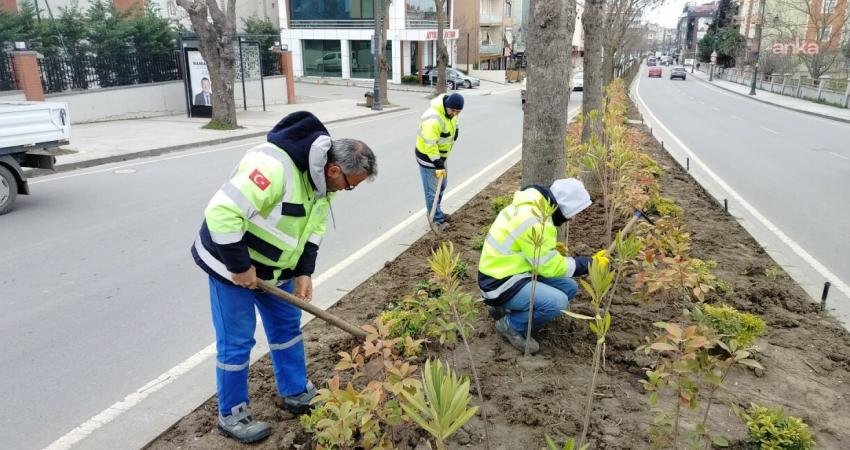 Silivri Belediyesi, çevre düzenleme çalışmalarını sürdürüyor Silivri Belediyesi Park ve Bahçeler Müdürlüğü ekipleri, ilçe genelindeki yeşil